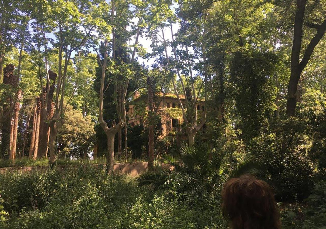 Can Codol De Fluvia - Casita Torroella de Fluviá 外观 照片